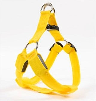Leuchtendes Hundegeschirr mit LED