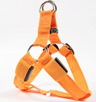 Leuchtendes Hundegeschirr mit LED