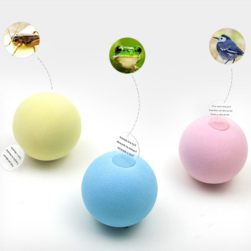 Interaktiver Spielball für Katzen