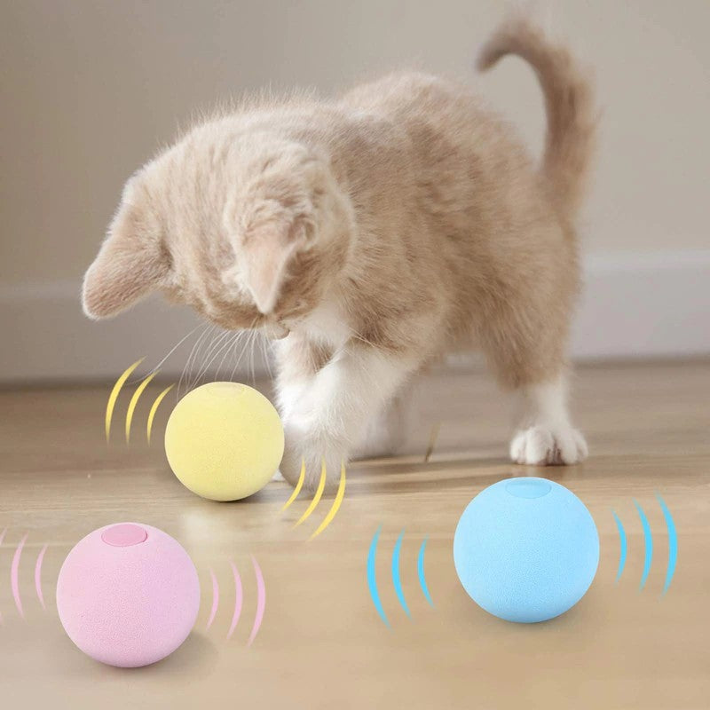 Interaktiver Spielball für Katzen
