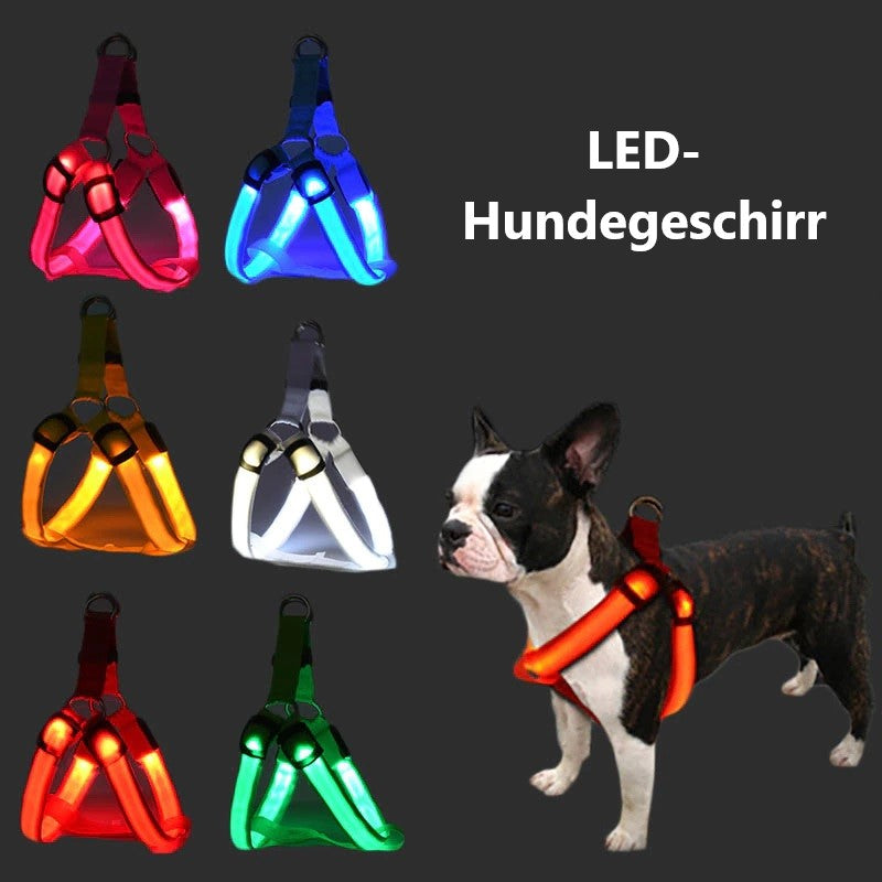Luminous dog harness with LED